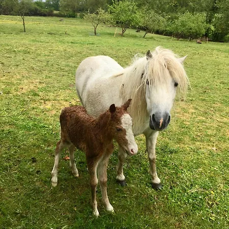 Le Logis De La Grange Aux De L'etang Des Noues, Lejlighedshotel