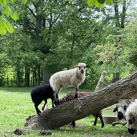 Le Logis De La Grange Aux De L'etang Des Noues,